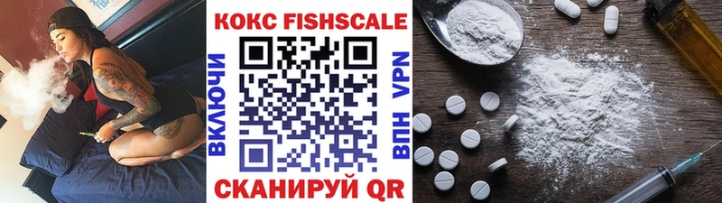 Cocaine FishScale Купить где Богородск