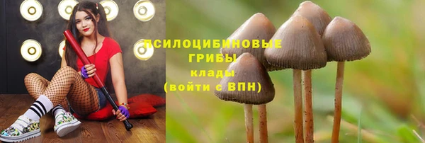гидра Баксан