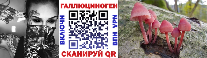 Купить где Богородск Галлюциногенные грибы мухоморы